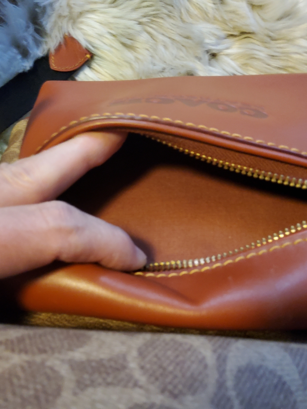 Coach Charter Backpack C8847 Beyond EUC - Picture 4 of 16